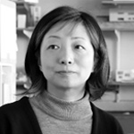 小池　志保子の写真